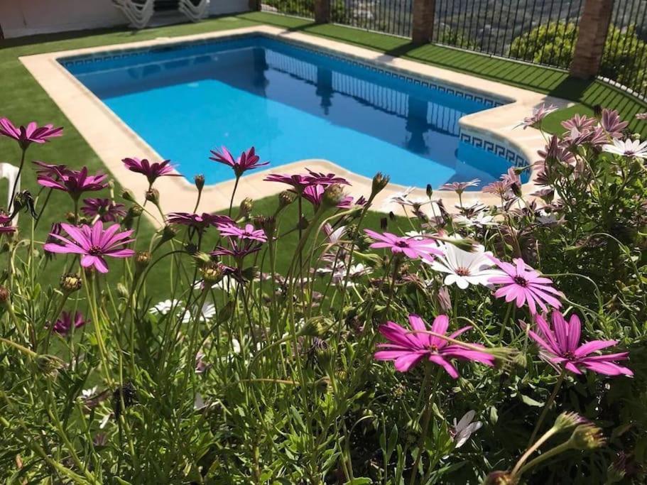 Holiday home En Con Piscina Y Jacuzzi *